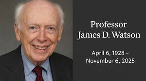 Writing: five deadly sins and a medley of damning habits