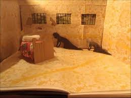 'but i must say what i feel and think in some way — it is such a relief! 12 The Yellow Wallpaper Animated Youtube Incredible Artistic Work That Really Brings This Book To Life Thi Yellow Wallpaper Wallpaper Project Wallpaper