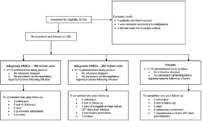 Study Flow Chart Patient Screening Follow Up And