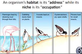 There are an estimated 390,900 different species of plants known to science. 13 Organism And Environment Biology4isc