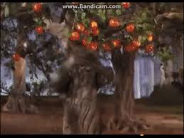 Gifs Apple Tree Wizard Of Oz Google Search Tree Apple Tree Holiday Decor