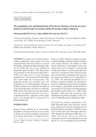 Population kota kinabalu — composition, density and population of the country. Pdf Population Size And Distribution Of The Proboscis Monkey Nasalis Larvatus In The Klias Peninsula Sabah Malaysia Zulhazman Hamzah Academia Edu