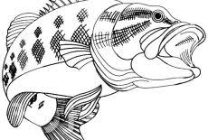 Coloring download, freshwater fish coloring pages bass fish. Bass Fish Coloring Pages Best Place To Color