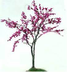 In oklahoma, the redbud trees suffer through yearly springtime. Pin By Pat Ferguson On Art Inspirations Tree Tattoo Red Bud Tree Redbud Tree