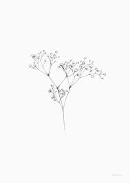 Pretty tattoos cute tattoos beautiful tattoos flower tattoos tulip tattoo tatoos floral illustrations botanical illustration babys breath flowers. Flowers Gypsophila Baby Breath Tattoo Gypsophila Tattoo Flower Illustration