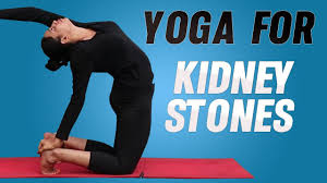 38 Top Yoga Asanas For Kidney Stones Yoga Asanas Kidney Stones Yoga