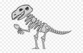 Moltar also served as the first host of cartoon network's toonami. Bone Free On Dumielauxepices Net Dino Cartoon Dino Skeleton Png Transparent Png 640x480 5993638 Pngfind