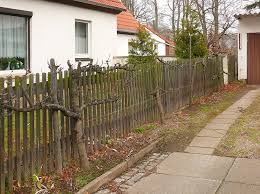 Zaunbegrunung M Kletterpflanzen Auswahl Kultur Und Rankhilfen Kletterpflanzen Rankhilfe Pflanzen