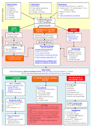 Diabetic Ketoacidosis Dka Management