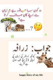 Riddles in urdupaheliyan in urdu paheliyan with answers in urdu paheliyan  … | Amazing facts for students, Common sense questions, Preschool fine  motor activities