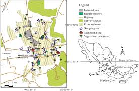 La vida del destripador de hollywood, el criminal que durante años masacró jóvenes mujeres. Magnetic Biomonitoring Of Atmospheric Dust Using Tree Leaves Of Ficus Benjamina In Queretaro Mexico Springerlink