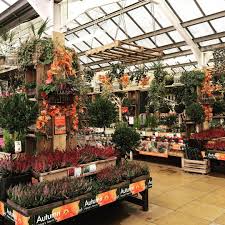 Autumn Colours At Squires Gc Autumnal London Plantshop Plantshopping Autumncolours Gardencenter G Garden Center Displays Autumn Garden Garden Center