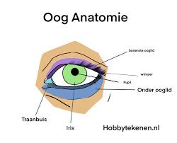 Podiuminfo brengt nieuws en informatie over concerten in nederland en belgië. Ogen Leren Tekenen Stap Voor Stap