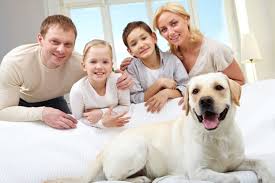 24 hour services are available 7 days a week for emergency wildlife control needs. Organic Pest Control Tampa Natural Pest Control Servicegreen Solutions Lpc