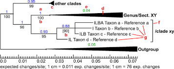 Child's medium blouse size os (one size). Proposal For A Subdivision Of The Family Psathyrellaceae Based On A Taxon Rich Phylogenetic Analysis With Iterative Multigene Guide Tree Springerlink