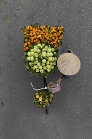 Au Vietnam Le Photographe Loes Heerink A Voulu Mettre A L Honneur Les Vendeurs De Rue De La Ville De Hanoi Tout E Photographie Vietnam Art De La Photographie