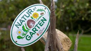 In diesem video möchte ich dir zeigen wie man seinen garten in eine schöne urlaubs oase verwandeln kann. Land Salzburg Natur Im Garten