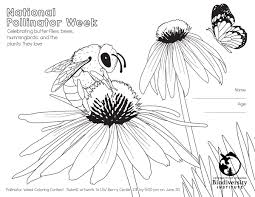 Free butterfly coloring pages printable. National Pollinator Week Coloring Pages On Behance