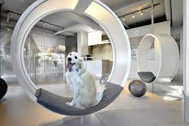 Unleashed Dog Spa Square One Interiors Dog Spa Spa Interior Pet Hotel