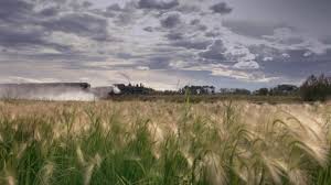 Maybe you would like to learn more about one of these? The Outlaws Green Grass And High Tides Youtube
