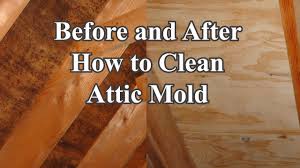 This is often the case in places like the pacific northwest. Attic Mold Cleaner Youtube