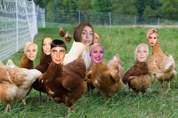 images?q=tbn:ANd9GcT1A6sv0venQxddJyepLVF