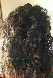 My Mom Said I Should Dry Brush My Hair To Avoid Frizz She Has Type 1