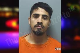 Daniel Silva: https://thegeorgiagazette.com/cherokee/daniel-silva/