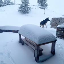 She had previous relations to craft, and he later kidnaps her during the attack on the human settlement by dr. Meteo Dimanche Les Temperatures Baissent A Toulouse La Neige De Retour Dans Les Pyrenees Actu Toulouse