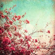 I Want All The Blue Mondays Vintage Flowers Wallpaper Vintage Floral Backgrounds Vintage Desktop Wallpapers