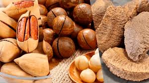 Dry fruits and nuts bulk supplier