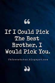 Quotes About Brothers Brother Quotes And Sibling Sayings Brother Birthday Quotes Brother Quotes Little Brother Quotes
