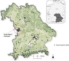 Fawn birthdays: From opportunistically sampled fawn rescue data to true  wildlife demographic parameters - Kauffert - 2023 - Ecological Solutions  and Evidence - Wiley Online Library