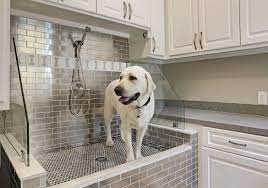 I haven't owned a dog as an adult. 29 Sweet Dog Shower Ideas Pet Washing Stations Luxury Home Remodeling Sebring Design Build