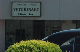 We bird and pet clinc provide best quality pet care service here in chittagong and all over the country trough onine. Madison Avenue Veterinary Clinic 8520 Madison Ave Fair Oaks Ca 95628 Yp Com