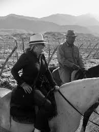 The existing condition was a simple gravel driveway with an island… Gauchos And Romantic Notions Gwen Books