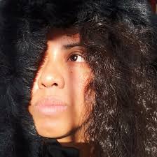 Jose Miguel Gahona Hoffman...