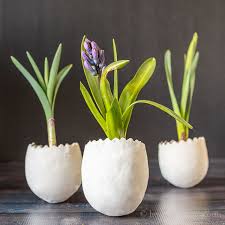 The cardigan singer left swifties a lot of little clues to dig into and analyze. Diy Easter Egg Planters With Clay Live And Faux Flowers Hearth And Vine