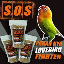 Pakan lovebird konslet lovebird merupakan salah satu jenis burung yang cukup digemari untuk dipelihara oleh para pecinta burung. Jual Pakan Lovebird Sos Untuk Lovebird Fighter Kota Depok Pakan Sos Tokopedia