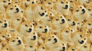 The only official twitter account for the shiba ecosystem $shib $leash $bone #shibarmy i am so excited to announce that we are throwing a virtual shiba inu party in 2 weeks featuring an i really like the way shiba connects us all around the globe. Why So Many People Struggle With Doge The Week