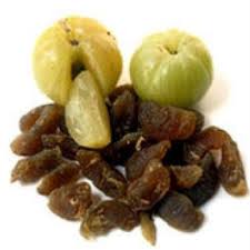 dry amla à¤¸ à¤ à¤à¤µà¤² in neemuch gaurav traders id 4963979062 dry amla à¤¸ à¤ à¤à¤µà¤² in neemuch