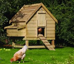 Foxit phantom pdf editor free download full version > casaruraldavina.com. Building A Chicken Coop Ebook Urban Hobby Farmer