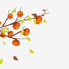 Fall Harvest Persimmon Tree Cartoon Hand Painted Fruit Watercolor Png Transparent Clipart Image And Psd File For Free Download Cartoon Trees Cartoon Clip Art Tree Painting