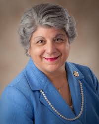 UPDATE: GOP files Cobb commission map drawing Richardson, Birrell into same  district