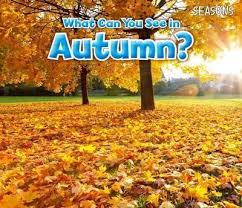Autumn is the time for fruit as well. What Can You See In Autumn Sian Smith 9781406283266