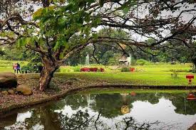 Taman mini indonesia indah merupakan tempat wisata yang berada di jakarta. Harga Tiket Masuk Kebun Raya Bogor Maret 2021 Momokiro