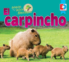 Más de 100.000 traducciones inglés de español palabras y frases. Animales De La Selva Amazonica El Carpincho Ebook By Katie Gillespie 9781791104399 Rakuten Kobo United States