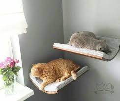These Look Cool And Comfortable For Kitty Pet Furniture Cat Bed Cat Shelves
