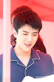 Sebab, kalau hanya meratapi kegagalanmu dan tak melakukan apa pun, mimpimu tak akan pernah. Kata Kata Bijak Sehun Exo Qwerty