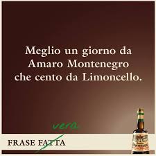 Amaro Montenegro Frases